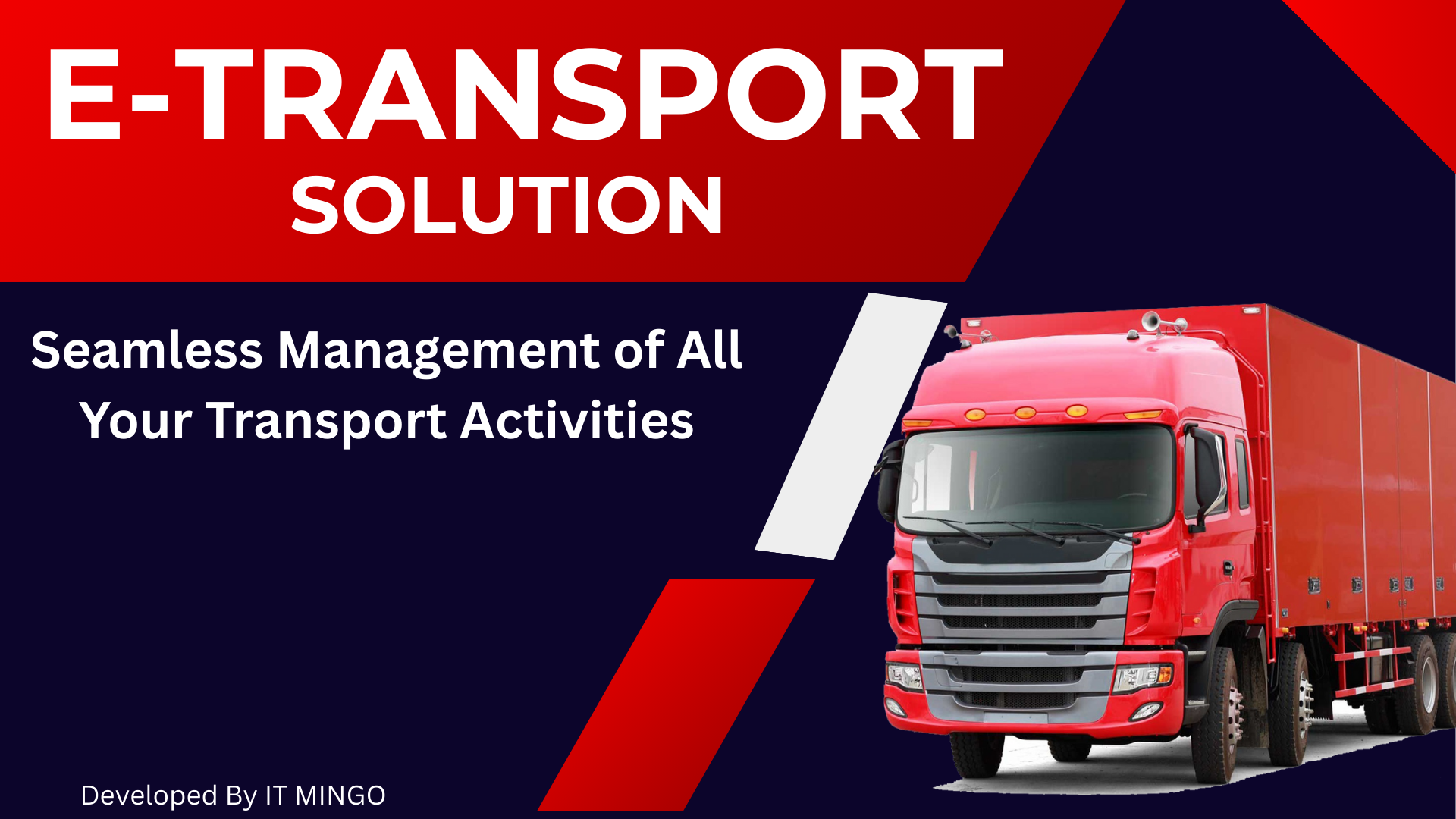 E-Transport Fleet